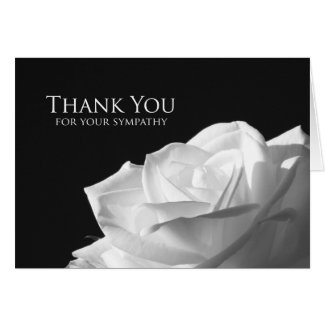 Blank Sympathy Thank You Card -- White Rose