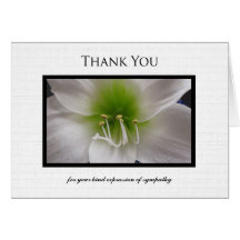 Blank Sympathy Thank You Note Card - Amaryllis