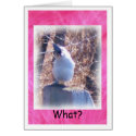 Blank Titmouse cards by pyrabird Blank Titmouse cards