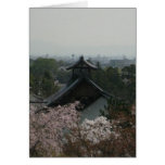 Blank-view from okochi sansho card