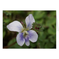 Blank wild iris and firend cards