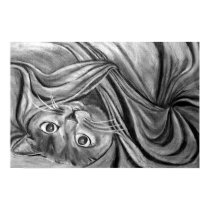 Blanket Cat posters by abrock Blanket Cat posters