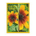 BLANKET FLOWER BOOKMARKS postcards