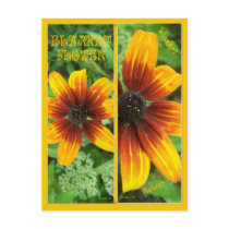 BLANKET FLOWER BOOKMARKS postcards