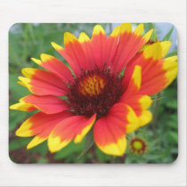 Blanket Flower Mousepad