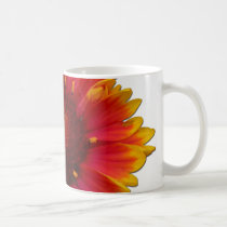 blanket flower mugs