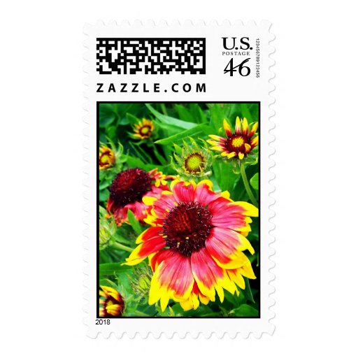 Blanket Flower Postage Stamp