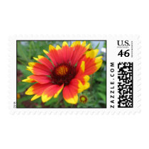 Blanket Flower Stamp stamps