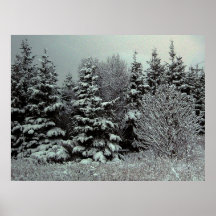 Blanket Of Snow Poster