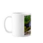 blarghour Waterfall at Barr-Beithe on All... mugs