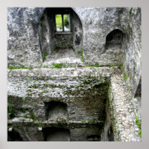 Blarney Castle Interior Posters