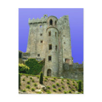 Blarney Castle Ireland Postcard
