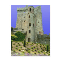 Blarney Castle Ireland Post Card