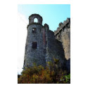 Blarney Castle, Ireland posters