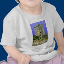 Blarney Castle Ireland t-shirts