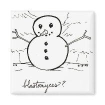 Blastomyces magnet