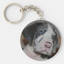 Blaue Augen Doggenwelpe Keychain