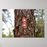 blaze2 posters
