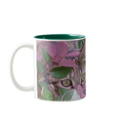 Blaze Cat Eyes Mug mug