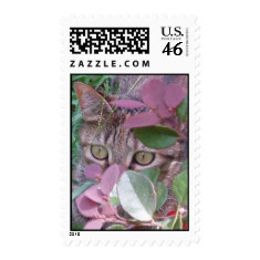 Blaze Cat Eyes Postage stamp
