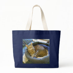 Blaze Cat Reclines bag