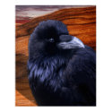 Blazen Raven posters by arteologist23 Blazen Raven posters