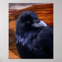 Blazen Raven Print