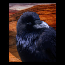Blazen Raven posters