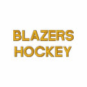 BLAZERSHOCKEY embroidered shirts