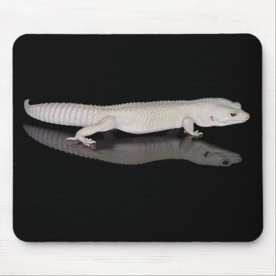 BLAZING BLIZZARD GECKO MOUSEPAD by Gracys_Dreamscape