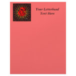Blazing Brahma Letterhead