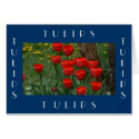 Blazing Red Tulips Framed cards by codfishlady Blazing Red Tulips Framed cards