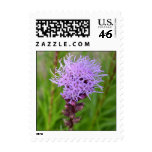 Blazing Star Flower Postage