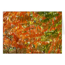 Blazing Sumac cards by codfishlady Blazing Sumac cards