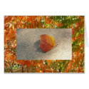 Blazing Sumac / Single Autumn Leaf cards