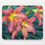 Blazing Torch mousepads