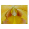 BLC Malworth Orchidglade cards by Orchidlady BLC Malworth Orchidglade cards