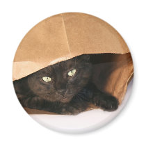 Blck cat in a bag magnet