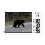 BLCR Bear Crossing Postage Stamp