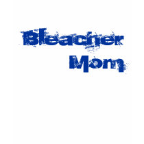 Bleacher Mom t-shirts