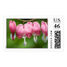 bleeders breather stamp