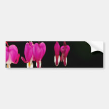 Bleeding-heart Bumper Stickers