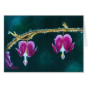 Bleeding Heart cards by MemePam Bleeding Heart cards