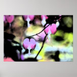 Bleeding Heart Floral Posters