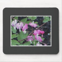 bleeding heart mousepads