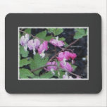bleeding heart mouse pad
