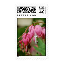 Bleeding Heart Stamp