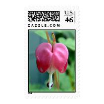 Bleeding Heart Stamp