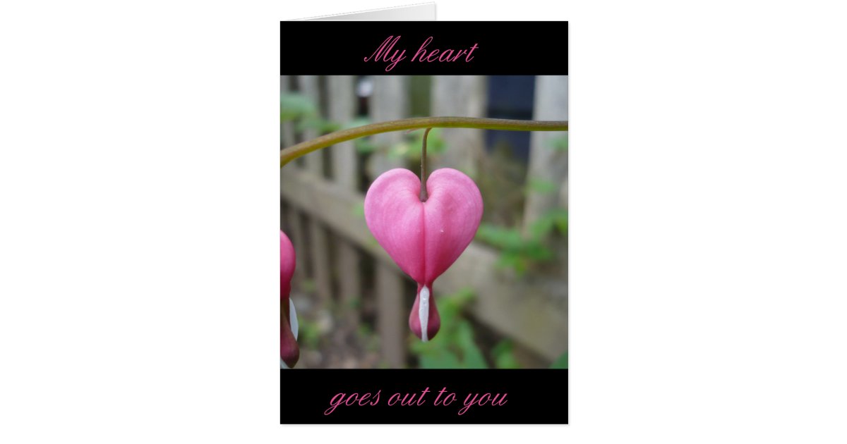 Bleeding Heart sympathy greeting card Zazzle