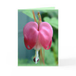 Bleeding Heart Thank You Card